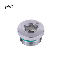 stainless steel swaged  Metric bsp thread male capative seal hollow hex plug